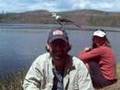 Extreme bird watching