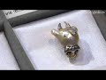 Animal Pearl Series : DigInfo