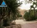 Kibbutz Ein Gedi: A Tropical Garden On The Dead Sea Shores