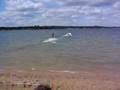 De Gesels Alex op Sufboard op Lathum 2