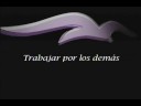 demo  reel  jesus camarografo