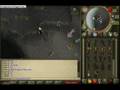 revs in wild