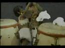 tupamaros todo el mundo necesita un beso