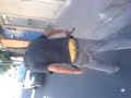 videos-chistosos.html