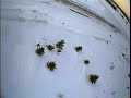 FPV flight december 2007
