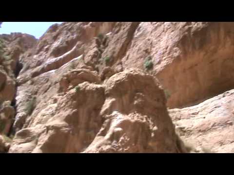 taghya - 