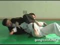 Gongkwon Yusul's basic motions for beginners.