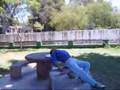 parkour GPA
