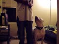 1stclassbullies patron o.b. work