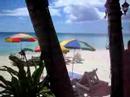 beaches