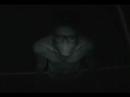 insanitarium - sunglasses at night
