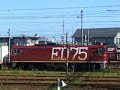 お昼過ぎの岩沼駅で、ED75牽引貨物列車2編成が並ぶことがあります。手前が先にやってきて後から出発する東北本線貨物、奥が後からやってきて先に出発する常磐線貨物です。（平成20年9月9日撮影）