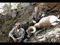 Hot High Country Sheep Hunting Action!
