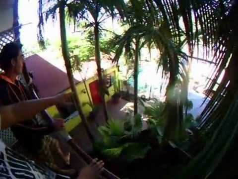 Brisbane Backpackers Resort の動画