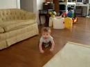 crawl of the nibbly noodle