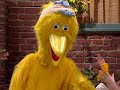 Big Bird Gets Sick