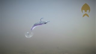 Силикон Westin RingTeez Curltail