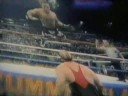 WWF old vs the new WWF old vs the new