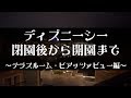 閉園から開園までのディズニーシー（2019年8月11日　テラスルーム（ピアッツァビュー）ホテルミラコスタ）