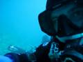 videos de Cuda Scootering around Channel Islands