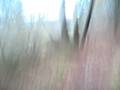 videos de sortie vtt 6