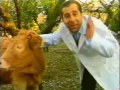 Pierino Tiramisù - La mucca pazza