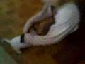 videos de Selma the crazy dog 3
