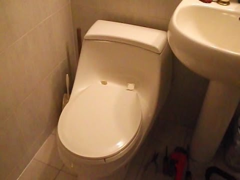 how to remove toilet seat