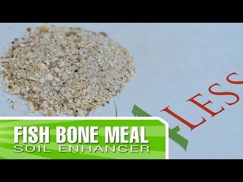 how to fertilize with bone meal
