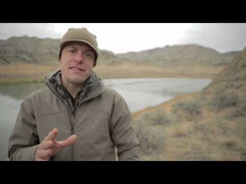 History of the American Wild Turkey – Conservation Field Notes with Steven Rinella