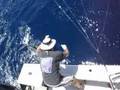 Striped Marlin Release - CR Gamefish Sportfishing Costa Rica
