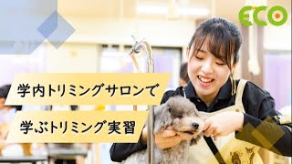 北海道エコ　Youtube Pickup!