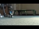 Alvin Bionicle Fighting