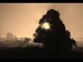 Video screenshot