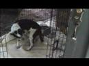 best friends fayo and max