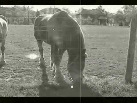 how to prove smoothness