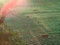 videos de 08 scouting footage