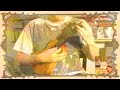 Search Video