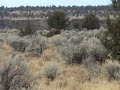 Hunting 2008: Day 2: Wild Horses