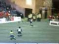 goles goles goles