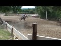 Le 11 juillet 2009 - au galop