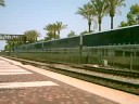 DOUBLE HEADER AMTRAK
