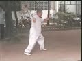 fang ning performs yang large frame form
