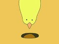 unfinished-chicken-project.html