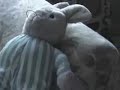 Bunny\