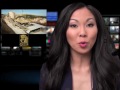 Click here to watch this video Passfail.com News: Thursday's ETF Movers: LATM, KWT