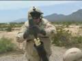 Missile Defense System ( MTHEL )