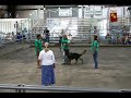 Barret-Jackson County Dog Fair