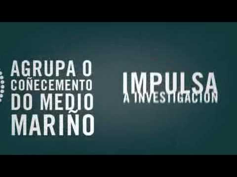 Imagen de previsualización de YouTube