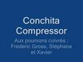 Le Troll avec Conchita Compressor - New Day's Dream